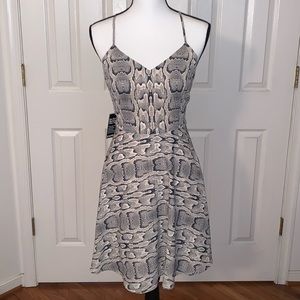 Express Snake Print Dress